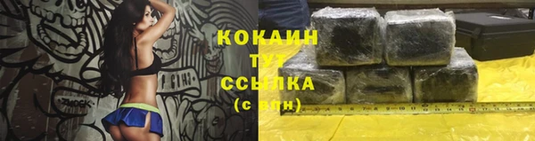 стаф Зерноград