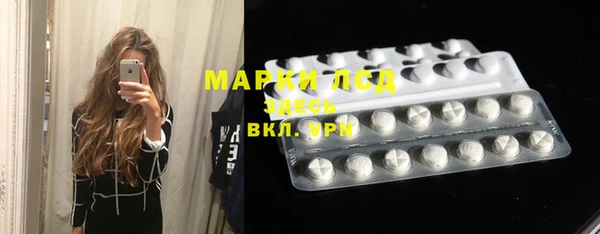 стаф Зерноград
