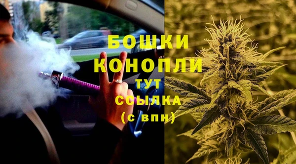 стаф Зерноград