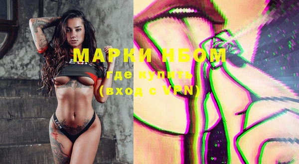 стаф Зерноград